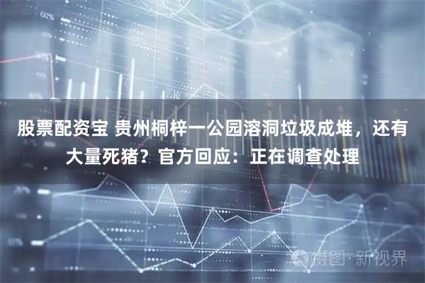 股票配资宝 贵州桐梓一公园溶洞垃圾成堆，还有大量死猪？官方回应：正在调查处理