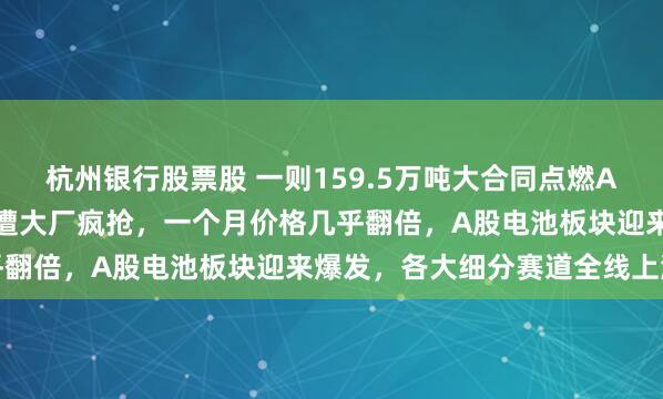 杭州银行股票股 一则159.5万吨大合同点燃A股，电池关键材料电解液遭大厂疯抢，一个月价格几乎翻倍，A股电池板块迎来爆发，各大细分赛道全线上涨
